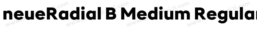neueRadial B Medium Regular字体转换